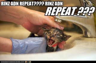 kitty bath